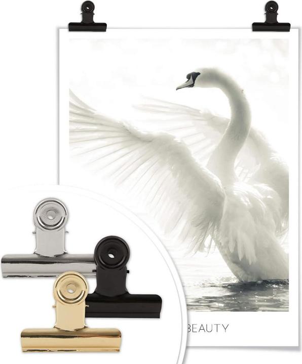 Actual product image Trenddeko Majestic swan - Natural Beauty (40 x 50 cm)