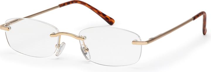 Actual product image Filtral Hamburg gold (+2.5)