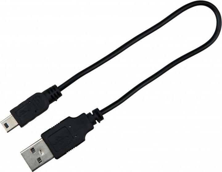 Image du produit Trixie Bandeau lumineux Safer Life Flash USB L-XL (50, Chien, Sport canin)