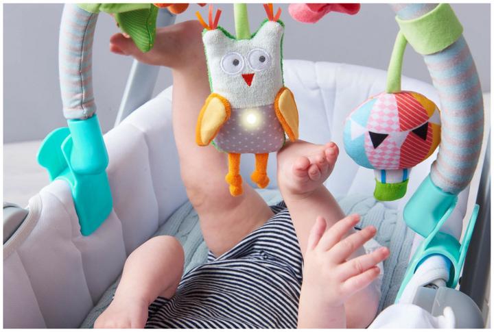 Actual product image Taf Toys Owl