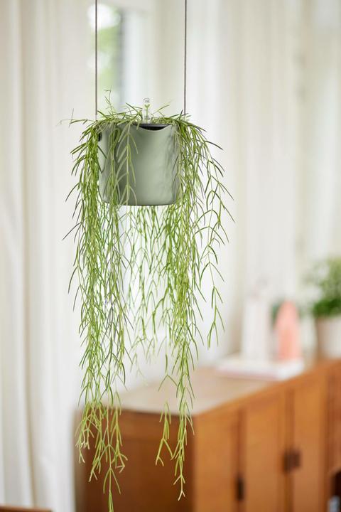 Produktbild Elho B.for Swing (18 cm)