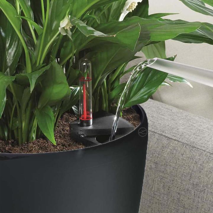 Actual product image Lechuza Classico (36 cm)