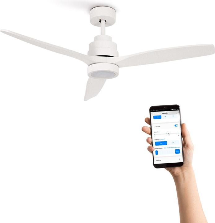 Immagine prodotto Create WINDSTYLANCE DC - Ventilatore da soffitto silenzioso (50 dB)