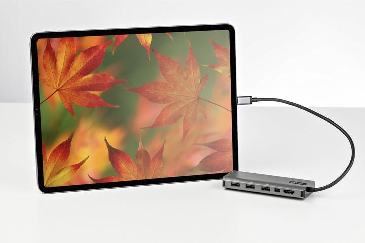 Image du produit StarTech DKT31CMDPHPD (USB-C, 7 Ports)
