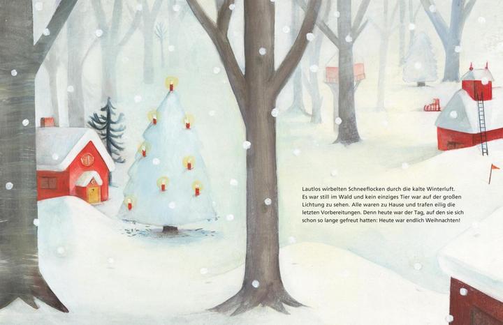 Immagine prodotto Wer hat Weihnachten geklaut? (Tedesco, Fabiola Nonn, 2017)