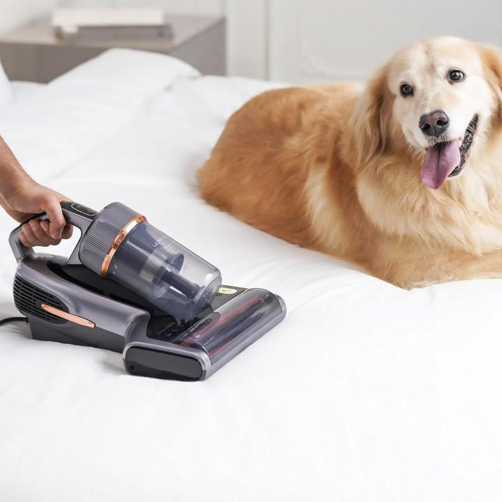 Produktbild Jimmy BX7 Pro Max Mite Vacuum Cleaner