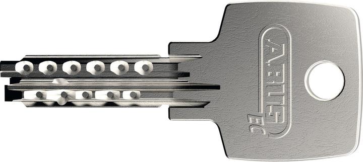 Immagine prodotto Abus Granit 460 (30 cm)