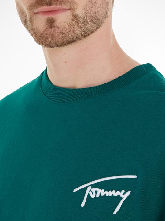 Image du produit Tommy Hilfiger Tommy Jeans Signature Sweater - 97575 (M)