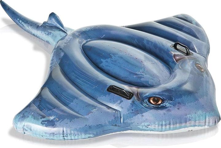 Intex Stingray