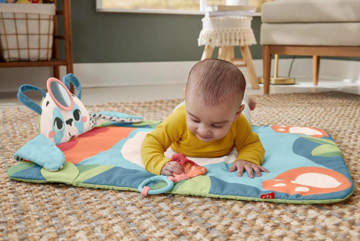 Image du produit Fisher-Price 0