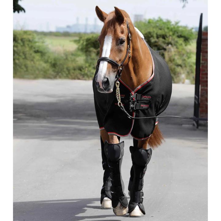 Produktbild Premier Equine Airtechnology
