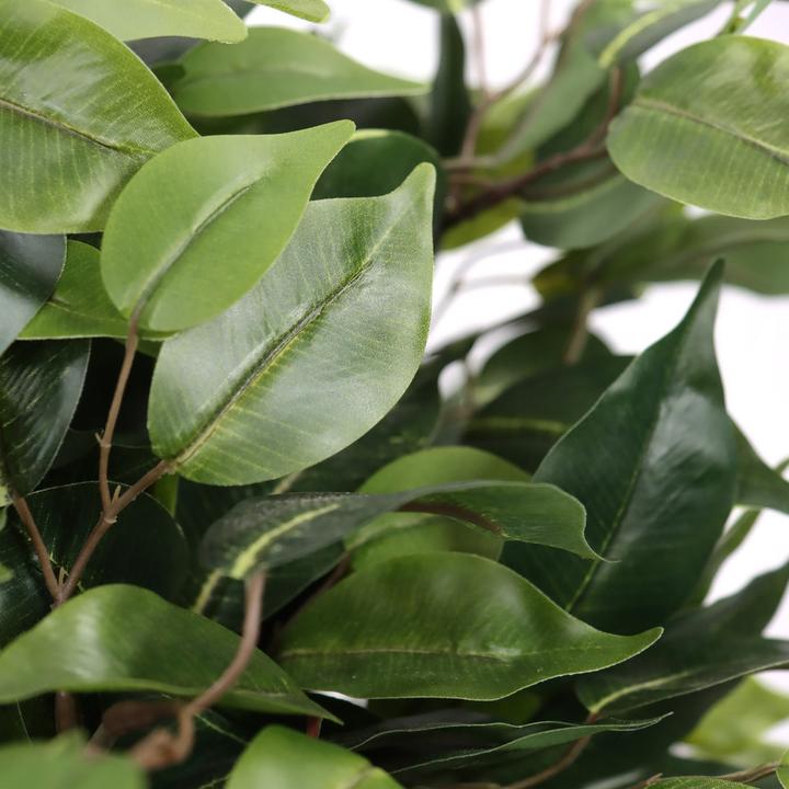 Produktbild Hjh Office Ficus Ii (65 cm)