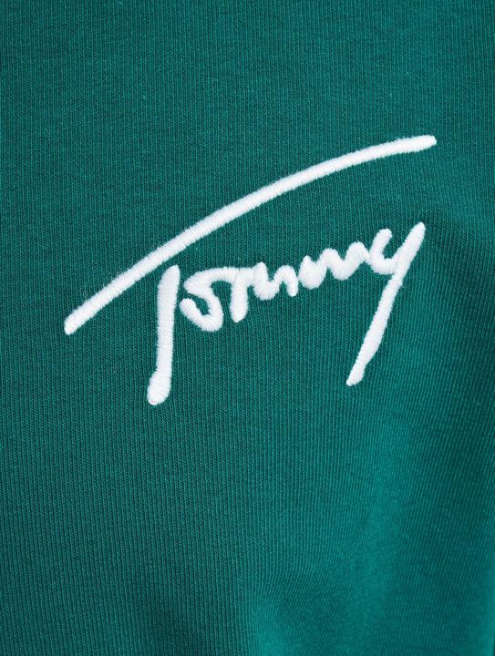 Image du produit Tommy Hilfiger Tommy Jeans Signature Sweater - 97575 (M)