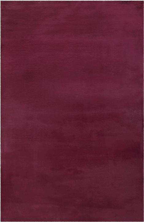 Violett bordeaux