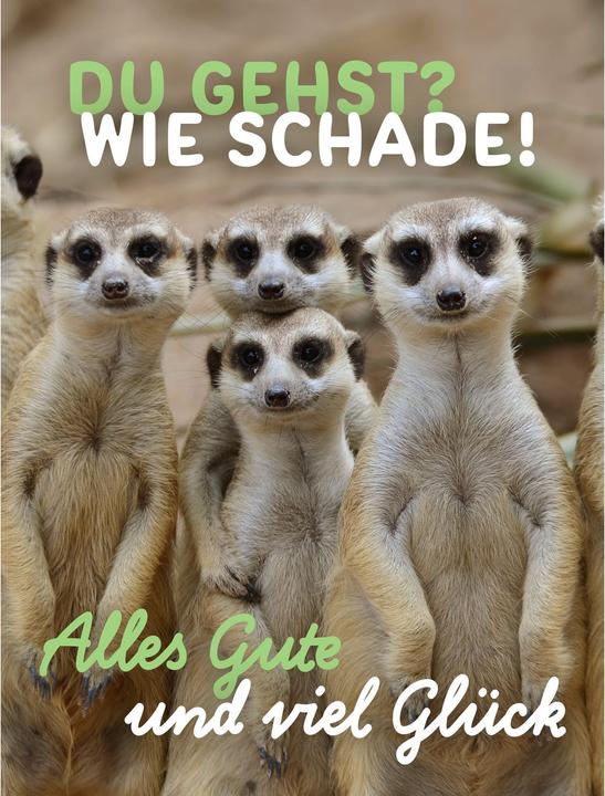 Actual product image Taurus Kunstkarten Farewell card meerkat - Maxi Card A4 (1 pcs.)