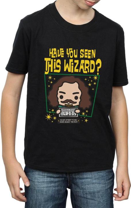 Actual product image Boys Sirius Black Azkaban Junior T-Shirt (140, 146)