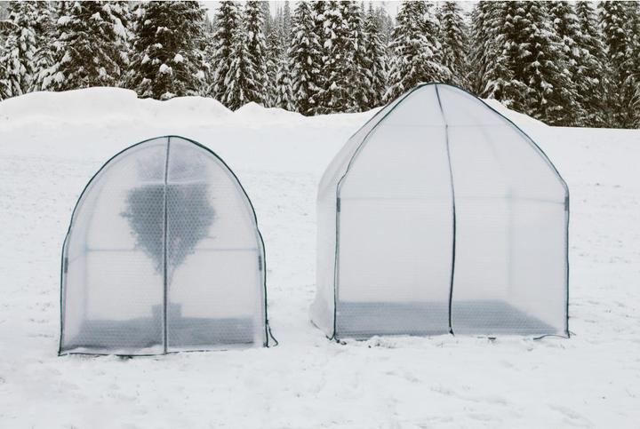Colibri Yurt