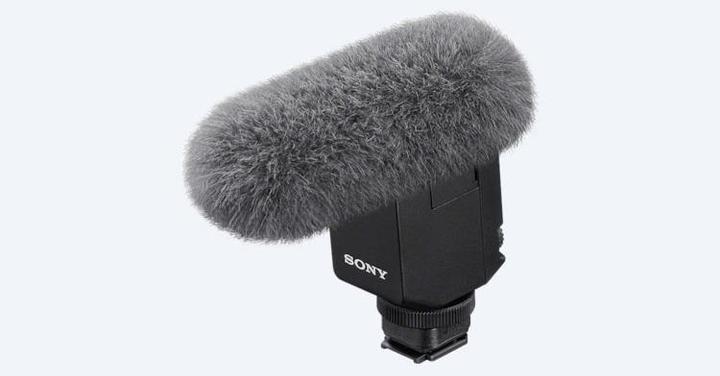 Actual product image Sony ECM-B10