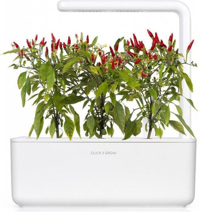 Immagine prodotto Click and Grow Piri piri peperoncino (Semi di verdura)