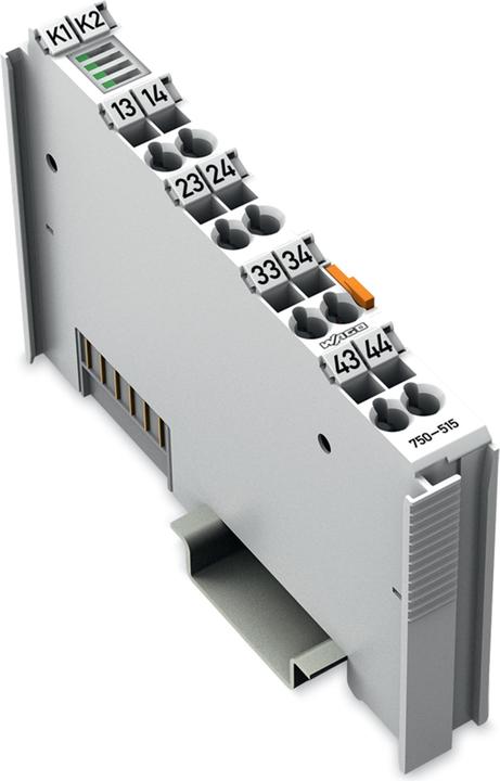 Actual product image Wago 2-channel relay output terminal