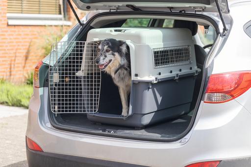 Actual product image Karlie Nomad (Dog, Cat, Lockable)