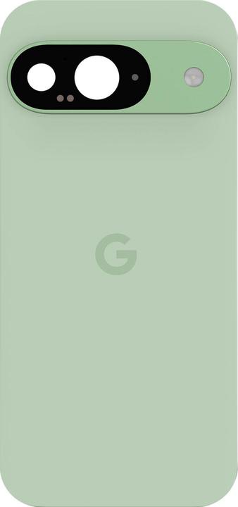 Actual product image Google Ersatzteil Rückseite (Cover, Google Pixel 9)
