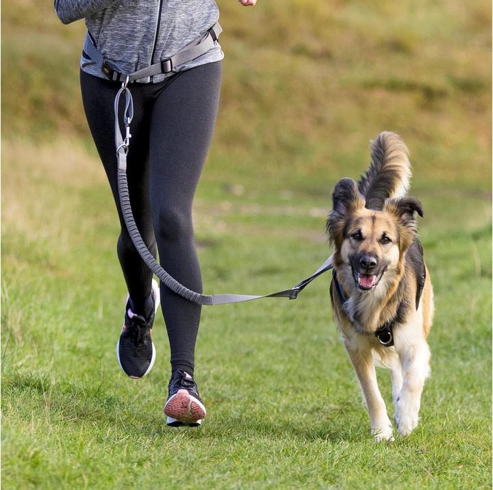 Produktbild Trixie Joggingleine Bauchgurt (M, Hund, Jogging)