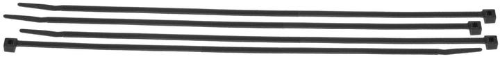 Actual product image Brady Nylon cable ties and cable ties (Plastic cable ties, 390 mm, 100 pcs.)