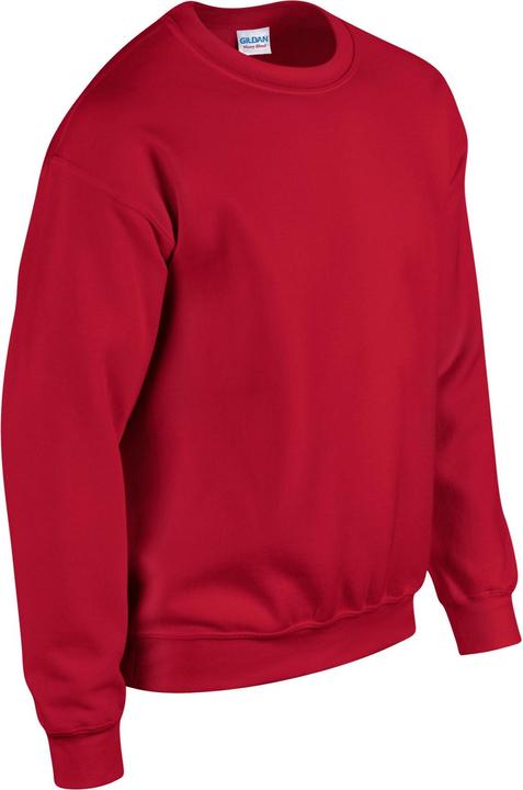 Image du produit Gildan - Sweat - Homme (L)
