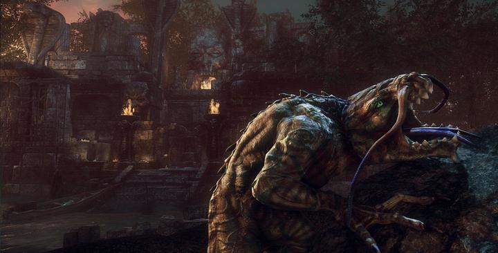 Immagine prodotto Maximum Games Lichdom Battlemage (Xbox One X, Xbox Series X, EN)