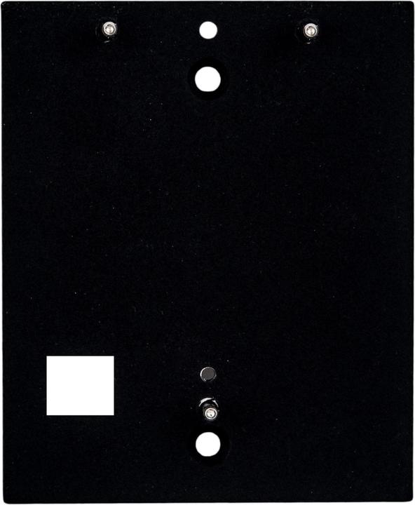 2N Helios IP Verso - Fondo plastificato 1 modulo