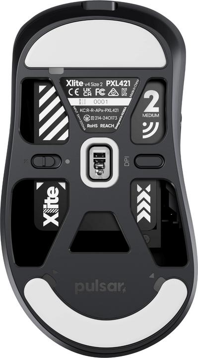 Actual product image Pulsar Xlite V4 - Medium Size 2 (Wireless, Cable)