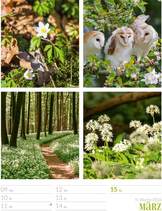Produktbild Farben der Natur - Wochenplaner Kalender 2026 (25 x 33 cm, Harter Einband, Deutsch)