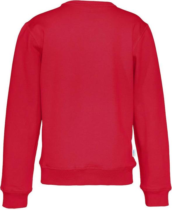 Actual product image Cottover Sweatshirt (164)