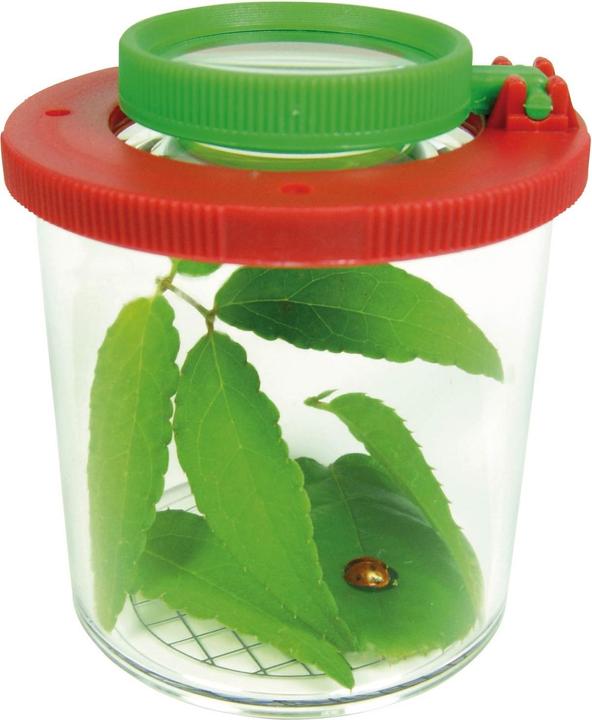 Actual product image Eddy Toys Insect glass with magnifying glass