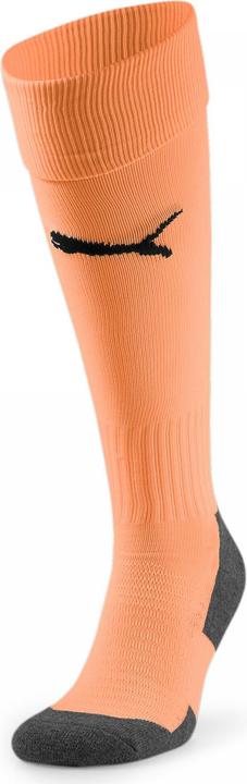 Actual product image Puma Team LIGA Socks CORE-703441 (39, 42)
