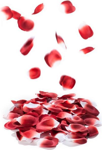 Actual product image Bijoux Indiscrets Rose Petal Explosion (Other)