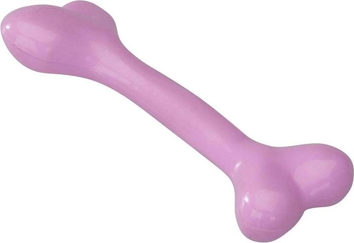 Actual product image EBI Rubber Bone L with Strawberry Flavour