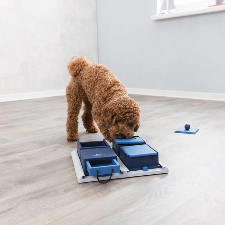 Immagine prodotto Trixie Poker Box 2 (Intelligenza cane toy)