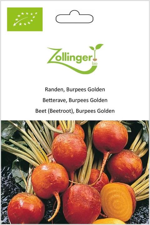 Image du produit Zollinger Bio Betterave, burpees Golden