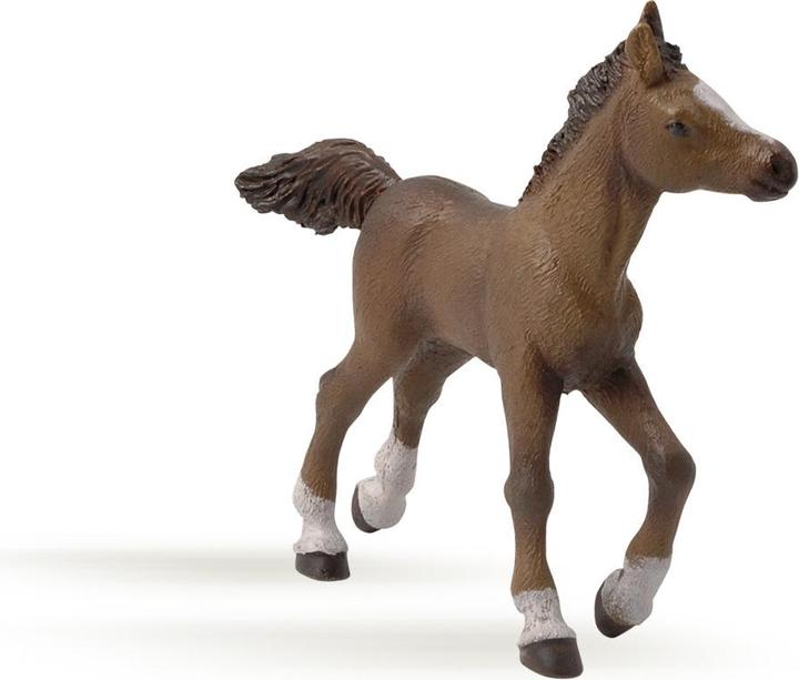 Actual product image Papo Anglo-Arabian foal