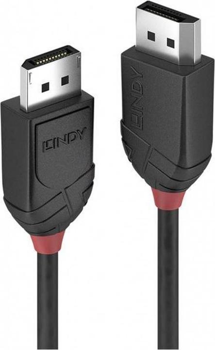 Lindy DisplayPort — DisplayPort (0.50 m, DisplayPort)