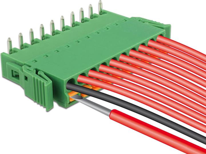 Actual product image Delock Terminal block grid horizontal (Cable Accessories)