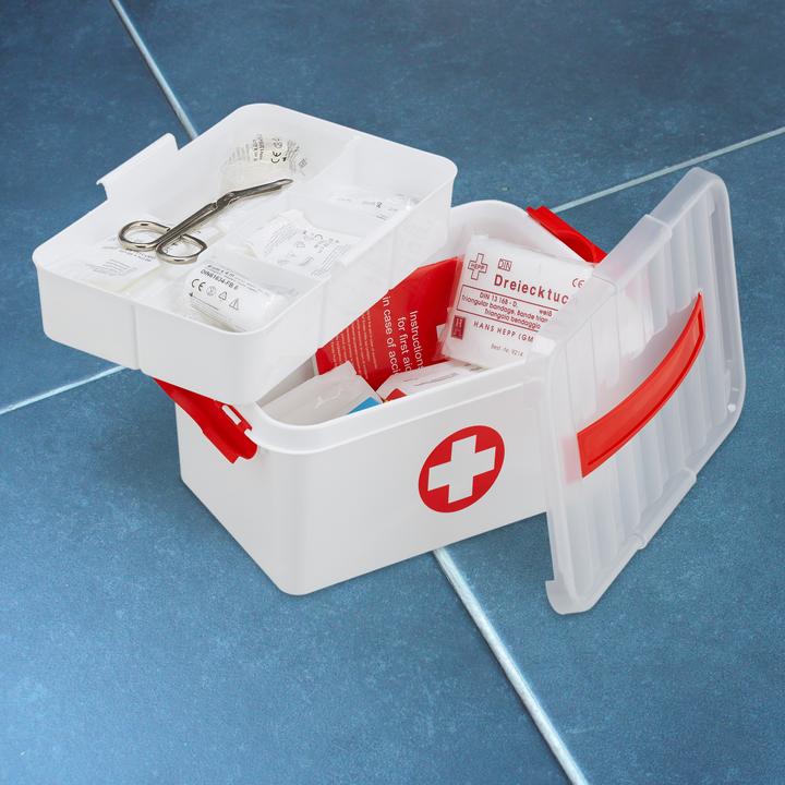 Actual product image Relaxdays medicine box