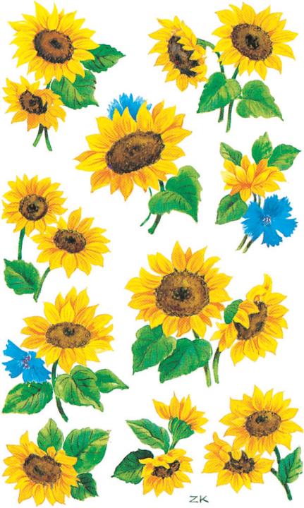Image du produit Z-Design Tournesols