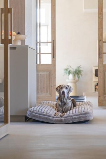 Image du produit Designed by Lotte Coussin de repos Reza (Chien)
