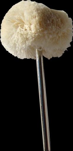 Immagine prodotto Promed Lucidatore in tessuto (1 x)