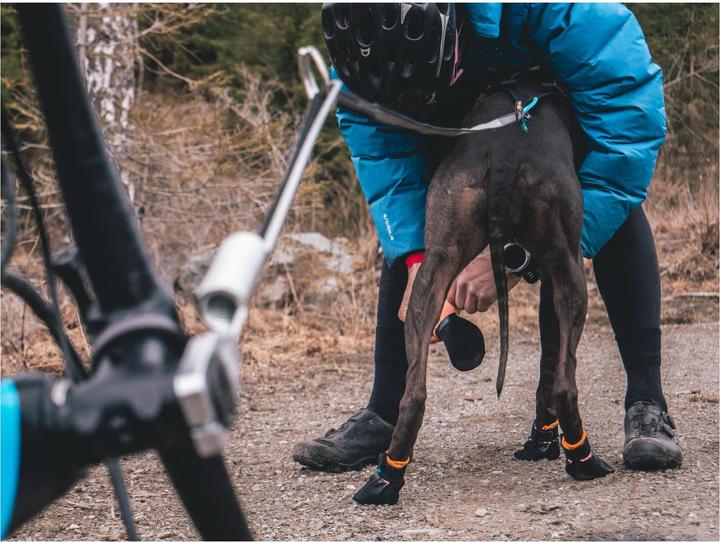 Produktbild Non-Stop Dogwear Protector (M, Hundebademantel)