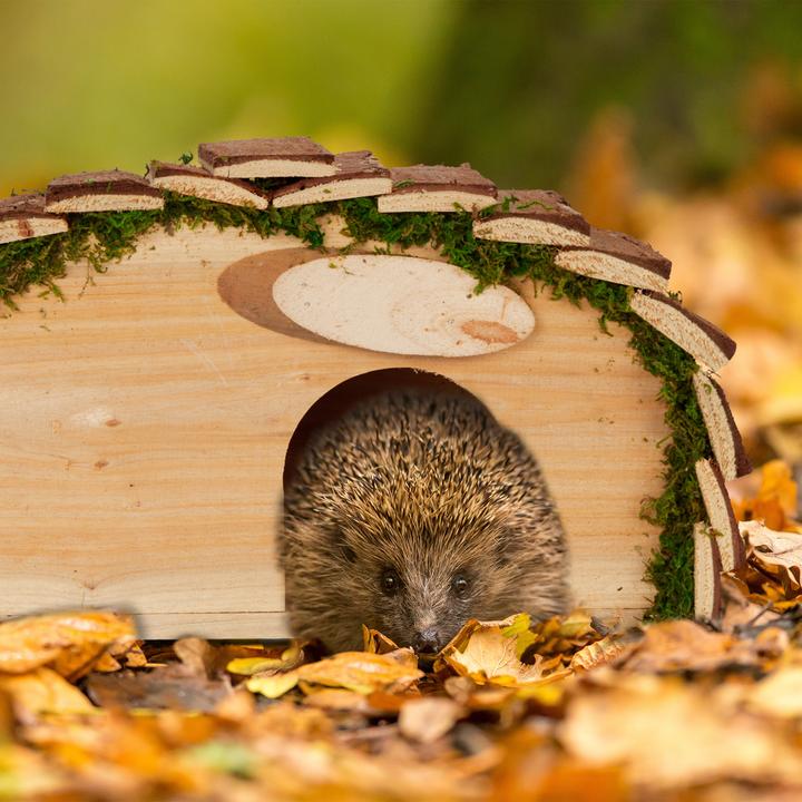 Actual product image Relaxdays Hedgehog House