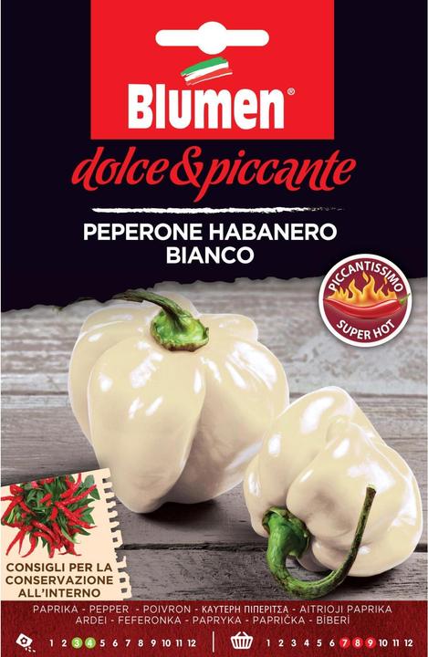 Immagine prodotto Blumen Peperoni Habanero Bianco (Semi di verdura)